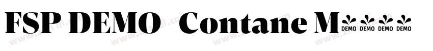 FSP DEMO   Contane M字体转换